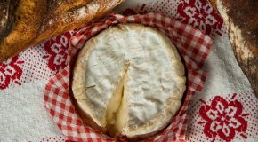 Camembert de Normandie – Une AOP toujours mal protégée