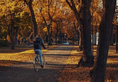 Marche et vélo – Des solutions concrètes pour le pouvoir d’achat, la santé et l’environnement