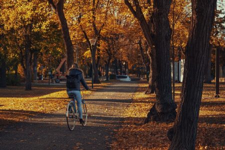 #vélo-marche-puvoir-achat-santé