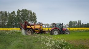 Pesticides – Cinq chartes dites de bon voisinage annulées par la Cour d’appel de Versailles !