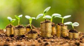 Assurance vie – Les fonds en euros les plus performants à long terme
