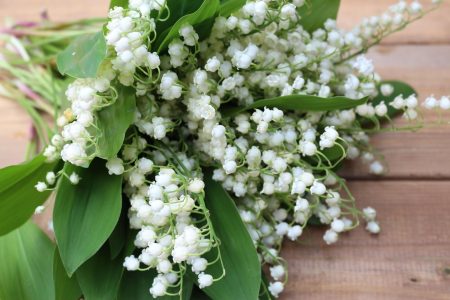 #premier-mai-muguet-tradition