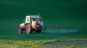 Pesticides – La nocivité pour la santé humaine se précise