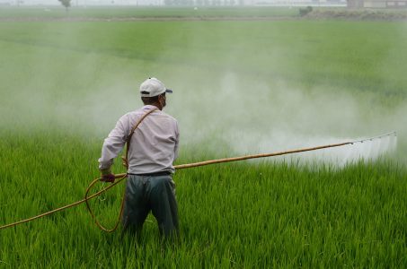 #herbicide-lendemain-difficile-consommateurs