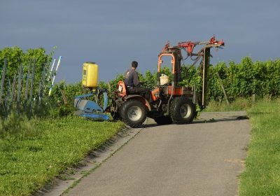 Pesticides – Les riverains des zones viticoles plus exposés