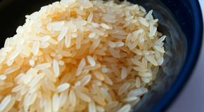 Riz – Une contamination à l’arsenic à prendre en compte
