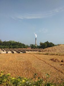 #pfas-polluants-éternels