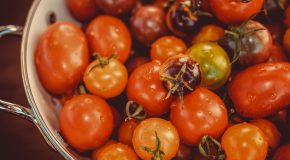 Pesticides – De nombreux résidus dans les tomates espagnoles et marocaines