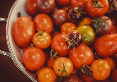 Pesticides – De nombreux résidus dans les tomates espagnoles et marocaines